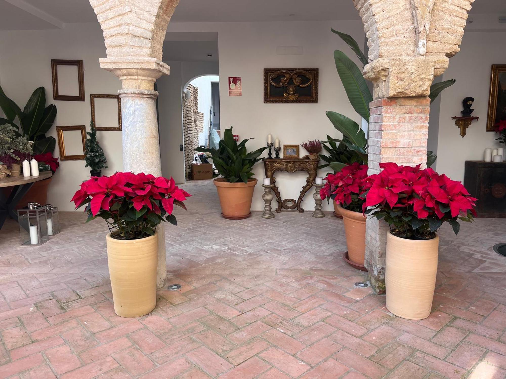 Corazon 23 Apartment Cordoba Exterior photo